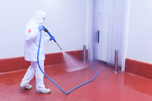 Pre-Holiday Cleaning in Central City, PA